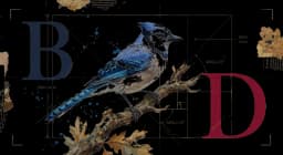 Blue Jay perched on an oak branch in side profile, blue crest and white-barred wings, watercolor on warm parchment