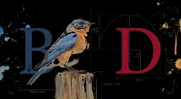 Eastern Bluebird perched on a fence wire in side profile, sky-blue back and russet breast, watercolor on warm parchment