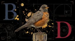 American Robin perched on a garden fence in side profile, warm orange breast and dark head, watercolor on warm parchment