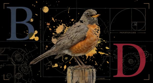 American Robin perched on a garden fence in side profile, warm orange breast and dark head, watercolor on warm parchment